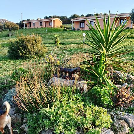 Agriturismo Gli Olivastri Appartamento Corbezzolo Con Piscina E Vista Mare,Climatizzatore,Wifi 아글리엔투 외부 사진